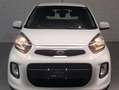 Kia Picanto 1.0 Active 66cv 5p Blanc - thumbnail 5