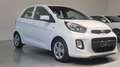 Kia Picanto 1.0 Active 66cv 5p Blanc - thumbnail 3