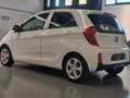 Kia Picanto 1.0 Active 66cv 5p Blanc - thumbnail 2