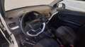 Kia Picanto 1.0 Active 66cv 5p Blanc - thumbnail 12