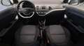 Kia Picanto 1.0 Active 66cv 5p Blanc - thumbnail 21