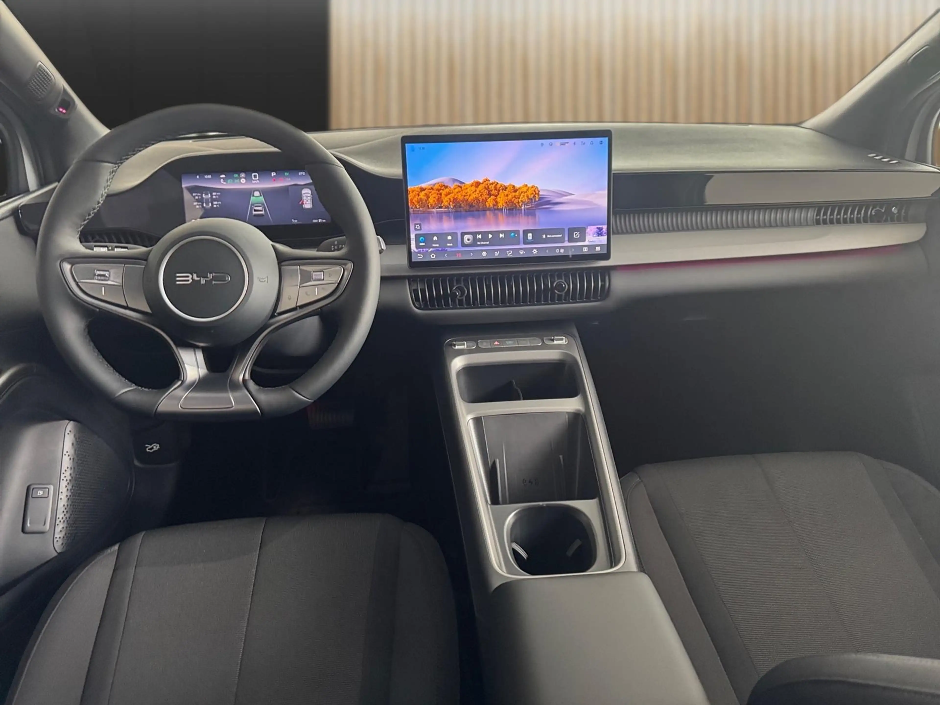 BYD Dolphin G 1.5 PHEV DM-i 156 kW Boost — photo 11