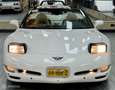 Chevrolet Corvette 5.7 Convertible Weiß - thumbnail 7