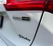 Ford Focus 1.0t ecoboost h ST-Line 125cv Weiß - thumbnail 5
