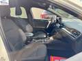 Ford Focus 1.0t ecoboost h ST-Line 125cv Weiß - thumbnail 9