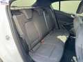 Ford Focus 1.0t ecoboost h ST-Line 125cv Weiß - thumbnail 7