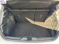 Ford Focus 1.0t ecoboost h ST-Line 125cv Weiß - thumbnail 35