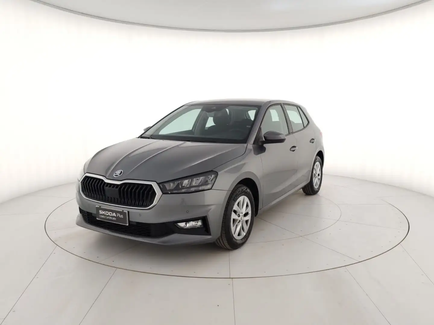 Skoda Fabia 1.0 MPI EVO 80 CV Selection Grigio - 1