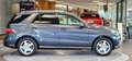 Mercedes-Benz ML 250 d 4-Matic A-Edition Aut. *AHK*18Zoll*Bi-Xenon*Navi Grau - thumbnail 5