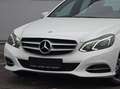 Mercedes-Benz E 220 Limousine (Automatik/TOP ZUSTAND!) Weiß - thumbnail 4