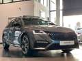 Skoda Octavia 2.0 TDI 4x4 RS ViCo Matrix Pano ACC AHK Grau - thumbnail 4