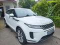 Land Rover Range Rover Evoque SE Blanc - thumbnail 2