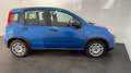 Fiat Panda 1.0 firefly hybrid s&s 70cv Bleu - thumbnail 9