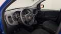 Fiat Panda 1.0 firefly hybrid s&s 70cv Bleu - thumbnail 10