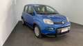 Fiat Panda 1.0 firefly hybrid s&s 70cv Bleu - thumbnail 5