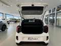 Kia Picanto 1.0 URBAN PACK TT Wit - thumbnail 8