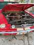Ford Mustang fastback 289 tribute gt350 shelby cambio manuale Rosso - thumbnail 5