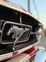 Ford Mustang fastback 289 tribute gt350 shelby cambio manuale Rosso - thumbnail 14