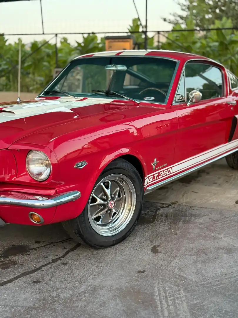 Ford Mustang fastback 289 tribute gt350 shelby cambio manuale Rosso - 2