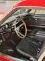 Ford Mustang fastback 289 tribute gt350 shelby cambio manuale Rosso - thumbnail 8