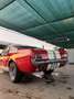 Ford Mustang fastback 289 tribute gt350 shelby cambio manuale Rosso - thumbnail 10