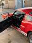 Ford Mustang fastback 289 tribute gt350 shelby cambio manuale Rosso - thumbnail 7