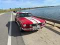 Ford Mustang fastback 289 tribute gt350 shelby cambio manuale Rosso - thumbnail 15