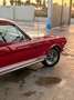 Ford Mustang fastback 289 tribute gt350 shelby cambio manuale Rosso - thumbnail 13