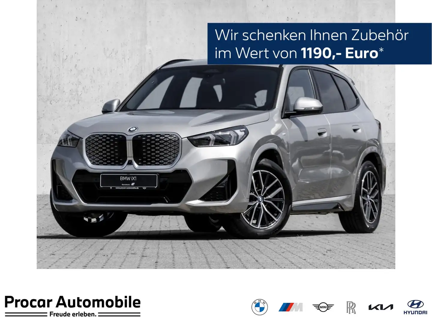 BMW iX1 xDrive30 M Sport HUD ACC RFK NAVI LED DAB Grigio - 1