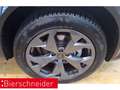 CUPRA Formentor 1.5 TSI DSG NAVI REAR VIEW SHZ Grau - thumbnail 8