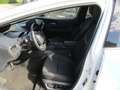 Toyota Prius 2.0 Plug-in Hybrid Executive MATRIX-LED Weiß - thumbnail 14