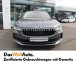 Skoda Superb Selection TDI DSG Grau - thumbnail 2