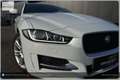 Jaguar XE 20d R-Sport Aut. Weiß - thumbnail 2