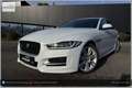Jaguar XE 20d R-Sport Aut. Weiß - thumbnail 4