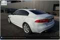 Jaguar XE 20d R-Sport Aut. Weiß - thumbnail 14