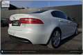 Jaguar XE 20d R-Sport Aut. Weiß - thumbnail 25