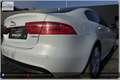 Jaguar XE 20d R-Sport Aut. Weiß - thumbnail 29