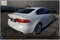 Jaguar XE 20d R-Sport Aut. Weiß - thumbnail 23
