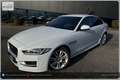 Jaguar XE 20d R-Sport Aut. Weiß - thumbnail 17