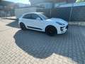 Porsche Macan GTS, Ahk,Panoramdach,Alcantara Weiß - thumbnail 10