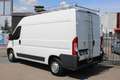 Peugeot Boxer 2.0 BlueHDI 110 pk L2H2 Airco, Trekhaak Imperiaal Wit - thumbnail 3