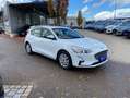 Ford Focus 1.0 Aut. COOL&CONNECT *WINTER-P Bianco - thumbnail 15