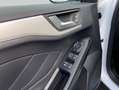 Ford Focus 1.0 Aut. COOL&CONNECT *WINTER-P Bianco - thumbnail 14