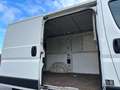 Citroen Jumper Jumper Diesel N1 X2/50 Nutzlast 820kg Weiß - thumbnail 4