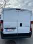 Citroen Jumper Jumper Diesel N1 X2/50 Nutzlast 820kg Weiß - thumbnail 2