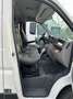 Citroen Jumper Jumper Diesel N1 X2/50 Nutzlast 820kg Weiß - thumbnail 6