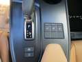 Lexus UX 300e UX 300h F-Sport Design Aut. Schwarz - thumbnail 20