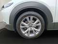 Mazda CX-30 SKY-G EXCLUSIVE+LEDER+DESIGN-P+DRAS-P Weiß - thumbnail 9