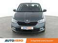 Skoda Fabia 1.0 MPI Cool Plus *PDC*SHZ*KLIMA* Grau - thumbnail 9