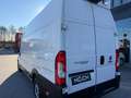 Fiat Ducato 140 L4H3  4035 mm Weiß - thumbnail 8